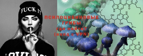 ешки Абаза