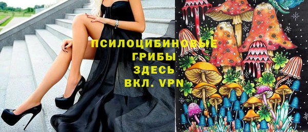 ешки Абаза