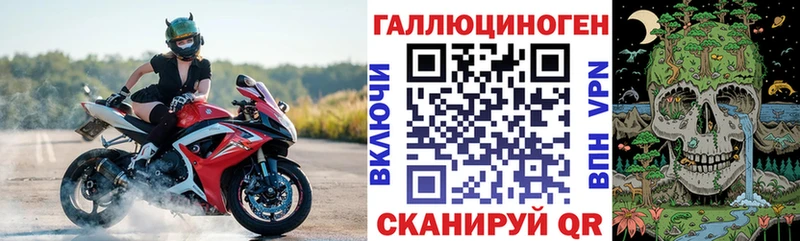 Галлюциногенные грибы Cubensis  Зубцов 